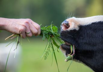 AdobeStock 121087609