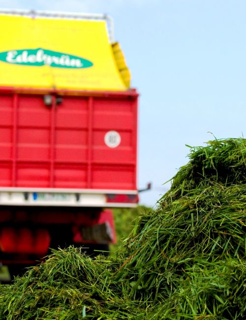 Gras Und Ladewagen