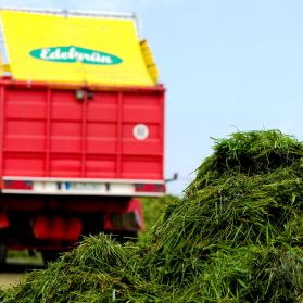 Gras Und Ladewagen