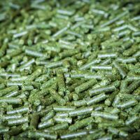 20130521 Futtertrocknung Kempten 3224