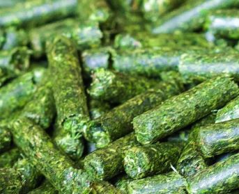 Pellets Futtertrocknung