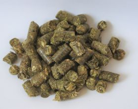 DSC05229 Cobs 02
