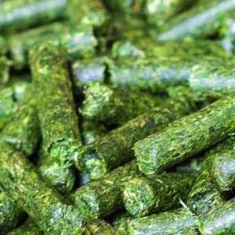 Pellets Futtertrocknung